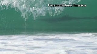 Shark photobombs surfing kids