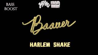 baauer   harlem shake (hq full version) 720p