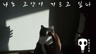 나도 고양이 기르고 싶다.avi