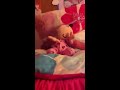 Part 1 funny baby doll