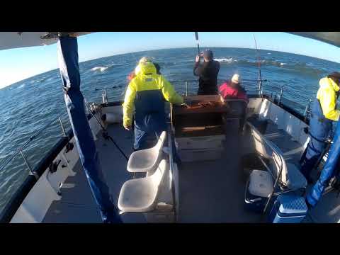 autumn offshore bass fishing