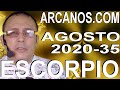 Video Horóscopo Semanal ESCORPIO  del 23 al 29 Agosto 2020 (Semana 2020-35) (Lectura del Tarot)