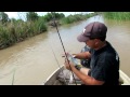 Fishing For Catfish
