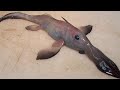 25 Most Terrifying Sea Creatures