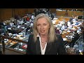 Emma Griffiths: The budget in 90 seconds