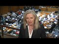 Emma Griffiths: The budget in 90 seconds