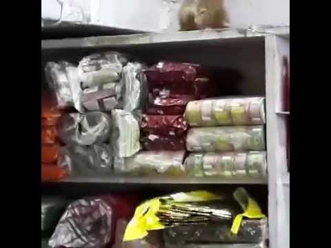 Funny rat video fighting