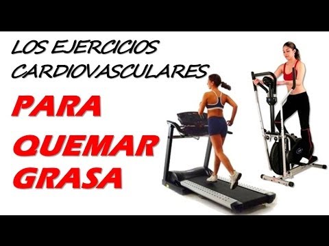 cual es la mejor forma de bajar de peso en una semana Ingesta cual es la mejor forma de bajar de peso en una semana lcteos