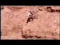 
videos de gente cyendose