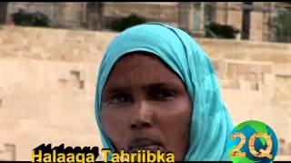 Halaaga Tahriibka: Daawo Gabadh Reer Burco Oo Si Murugo Leh Ula Hadlayasa Reer Burco