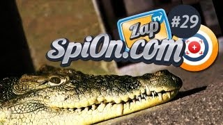 Le zap TV de Spi0n #29