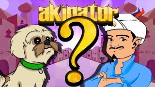 Can Akinator Guess Gryphon?