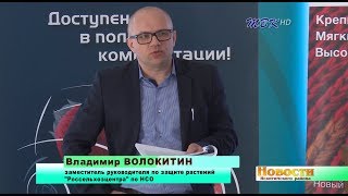 Скоро посевная. Аграрии Искитимского района провели семинар
