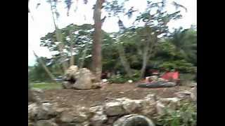 Madre, mientras es filmada asesina a su hijo degollandolo. Sort by: time320 Madre, mientras es filmada asesina a su hijo degollandolo. Sort by: time320