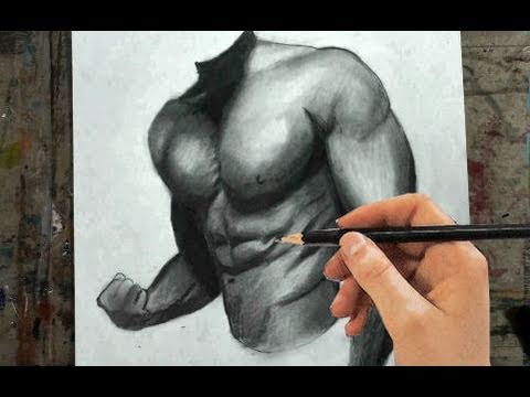 How to Draw the Male Torso, Chest, Arms- Step by Step - YouTube