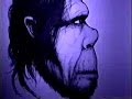 Skunk Ape Part 1 Animal X