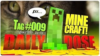 #09 Daily Dose: MINECRAFT [Deutsch] [HD] [Katzen Cam] Spionage und was Katzen damit zu tun haben!