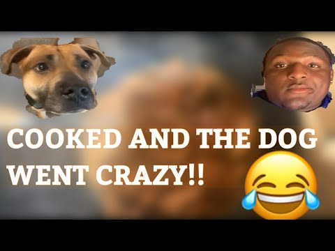 COOKING WITH FUNNYRAT PART 2!!!!!!!! (EXTREMELEY FUNNY) #FUNNYRAT #FUNNY RAT