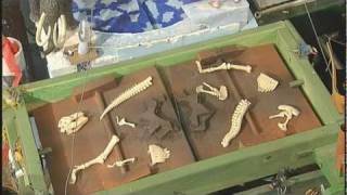 Purdue World Record: Rube Goldberg Machine Purdue World Record: Rube Goldberg Machine