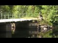 Flugfiske Våra Flugfiskefilmer Flugfiske Våra Flugfiskefilmer