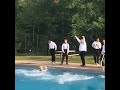 Wedding Pool Jump