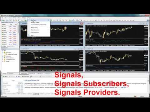 Wealth generators forex