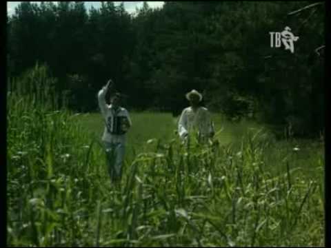Наливай Кума! (2011) Наливай Кума! (2011)
