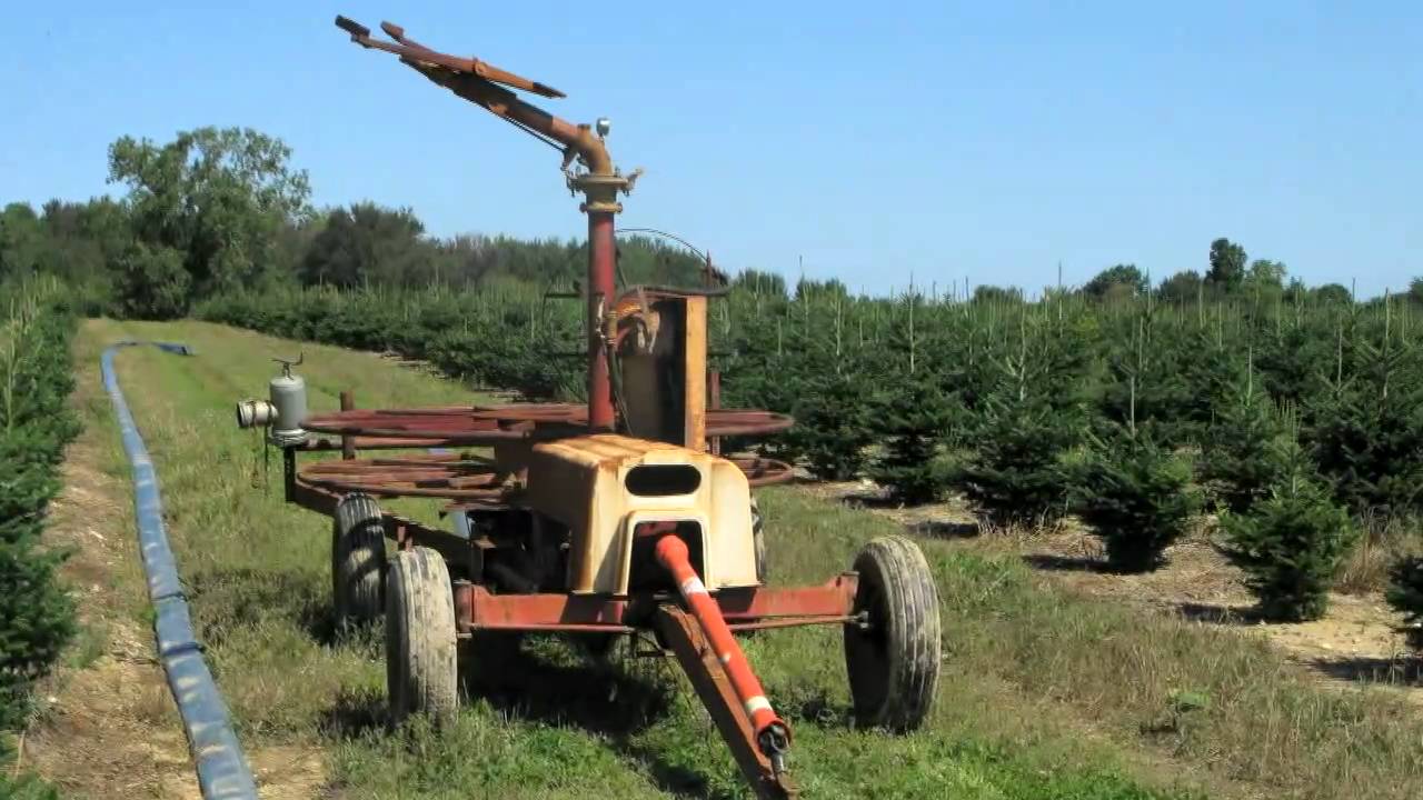 irrigation systems for christmas tree production youtube irrigation systems for christmas tree production youtube