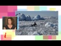 Le défi polaire sur Prima Inseme France 3 Corse - juin 2014
