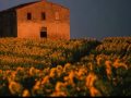 MAGICA TOSCANA.