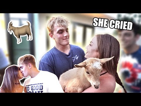 BUYING MY WIFE HER DREAM PET