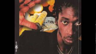 Bounty Killer - Bulls of Chicago (Queens Mix) - YouTube