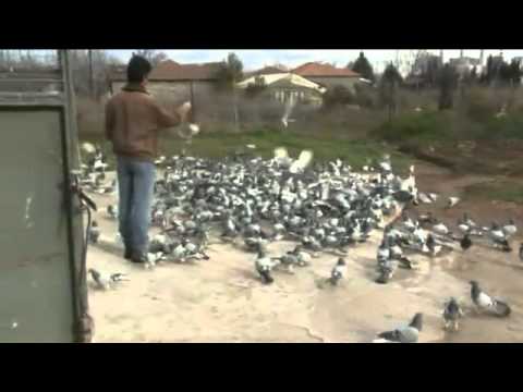 حمام روسي