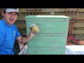 How-to Paint/Distress/Antique Furniture: Project 1 painted green, refinished, and distressed