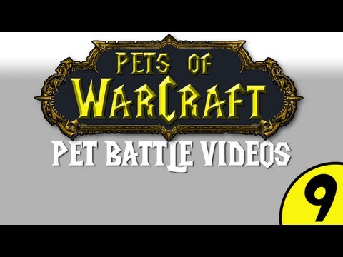 Mists of Pandaria MOP LIVE 5.05 Warcraft PetsOfWarCraft Video 09 - Pet 