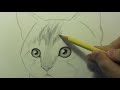 How to Draw a Kitten: Narrated Step by Step