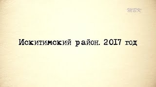 Искитимский район. 2017 год