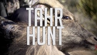 High Country Tahr Hunt - Mount Cook, New Zealand