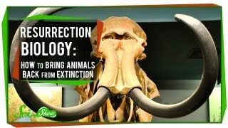 Resurrection Biology: How to Bring Animals Back From Extinction