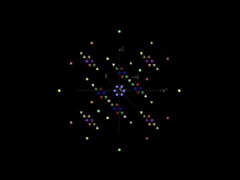 Garrett Lisi: A theory of everything