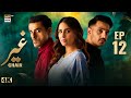 Ghair Episode 12  26 October 2024  Ushna Shah  Usama Khan  Adeel Hussain  ARY Digital