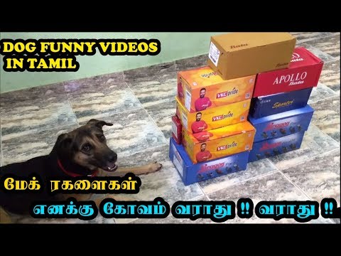 மேக் ரகளைகள் | எனக்கு கோவம் வராது !! வராது !!! | Funny Dog Videos in Tamil | Mac(k) Ragalaikal