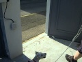 Mon chien attend avant de sortir du jardin