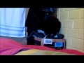 cotto, mi ñiño kerido... ( o gato mais fofo do mundo ) blz