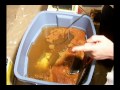 Rust removal by Electrolysis - Removing rust from a Briggs and Stratton engine shroud