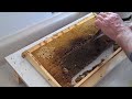 FatBeeMan 1 Minute Tip Very Easy Queen Making