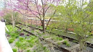 NYC Vlog #6 #LLGGoesToNewYork: The High Line!