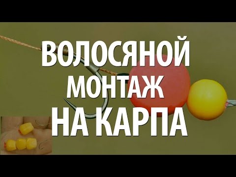 Видео как сделать бойлы Видео как сделать бойлы