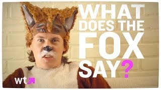 Ylvis - What Does The Fox Say? (Cover)