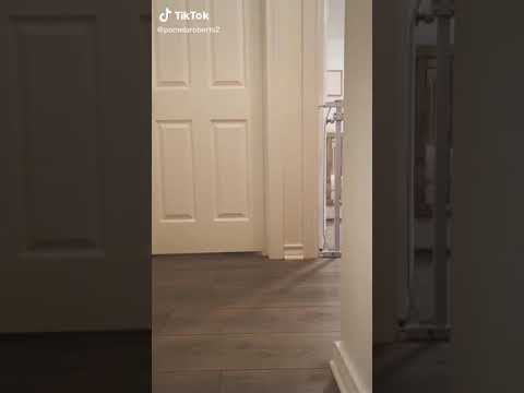 Tiktok #Tiktok #Funny #Kids